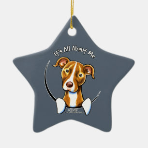 Pit Bull: Alles over mij Keramisch Ornament