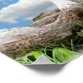 Pit bull (American Staffordshire Terrier) poster (Hoek)