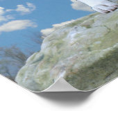 Pit Bull (Amerikaans Staffordshire Terrier) poster (Hoek)