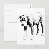 Pit Bull-bericht, sneeuwdag-helikopter Briefkaart (Voorkant / Achterkant)