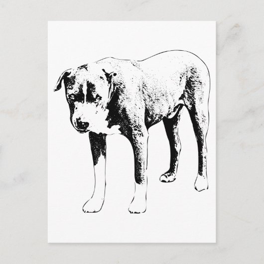 Pit Bull-bericht, sneeuwdag-helikopter Briefkaart (Voorkant)