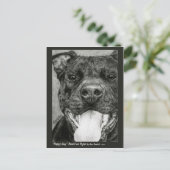 Pit Bull Briefkaart - "Happy Guy" (Staand voorkant)