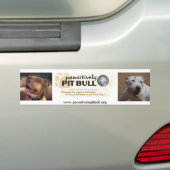 Pit Bull Bumpersticker (Op auto)