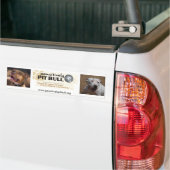 Pit Bull Bumpersticker (Op Truck)