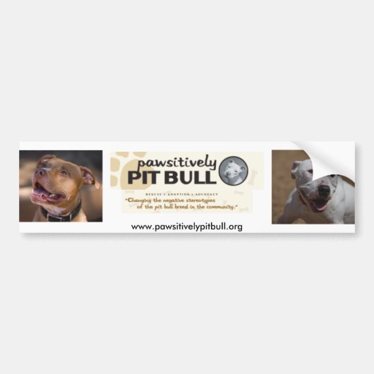 Pit Bull Bumpersticker (Voorkant)