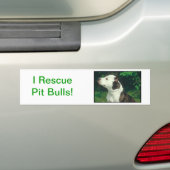 Pit Bull Bumpersticker (Op auto)