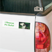 Pit Bull Bumpersticker (Op Truck)