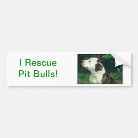 Pit Bull Bumpersticker (Voorkant)