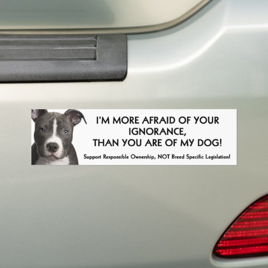 Pit Bull Bumpersticker (wit) Anti - BSL (Op auto)