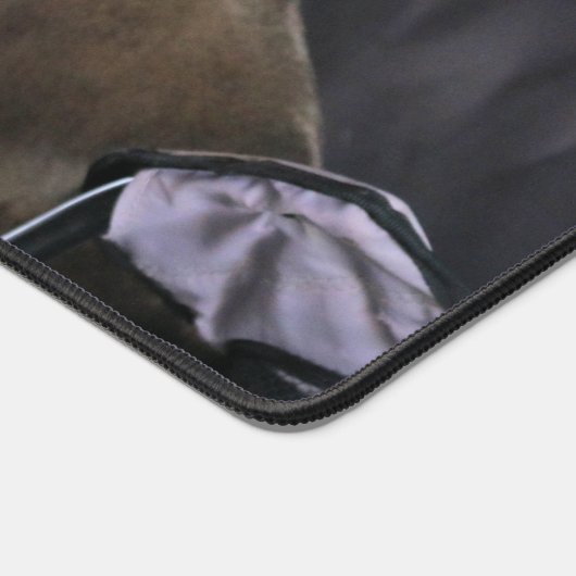 Pit Bull Bureaumat (Hoek)