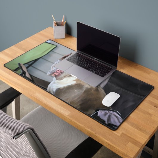 Pit Bull Bureaumat (Kantoor 2)