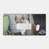 Pit Bull Bureaumat (Keyboard & Muis)