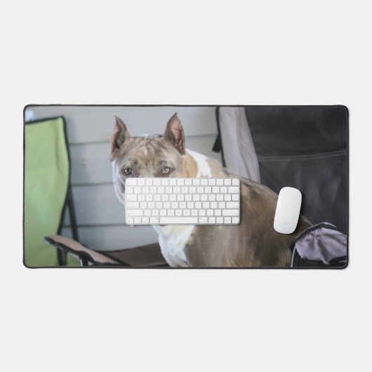 Pit Bull Bureaumat (Keyboard & Muis)