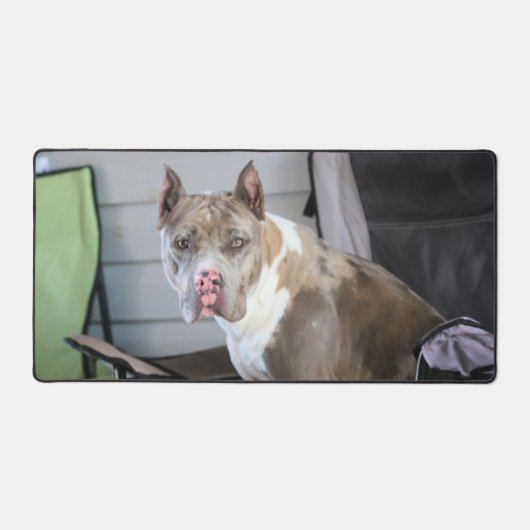 Pit Bull Bureaumat (Voorkant)