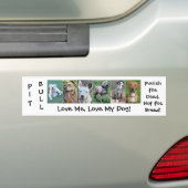 Pit Bull - Deed Not Breed Bumpersticker (Op auto)