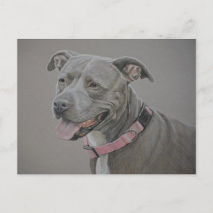Pit Bull Dog Art Briefkaart