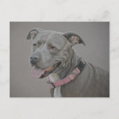 Pit Bull Dog Art Briefkaart (Voorkant)