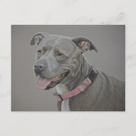 Pit Bull Dog Art Briefkaart (Voorkant)