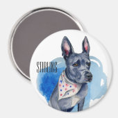  Pit Bull Dog Blue Waterverf Magneet (Voorkant / Achterkant)