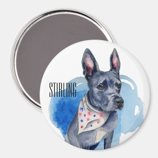  Pit Bull Dog Blue Waterverf Magneet (Voorkant / Achterkant)