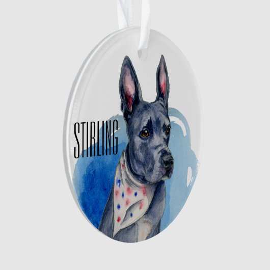 Pit Bull Dog Blue Waterverf Ornament (voorkant)