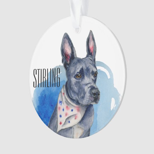 Pit Bull Dog Blue Waterverf  Ornament (voorkant)