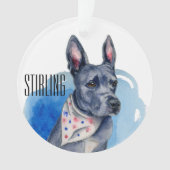 Pit Bull Dog Blue Waterverf Ornament (voorkant)