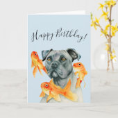 Pit Bull Dog en goudvissen | Gelukkige verjaardag Kaart (Gele Bloem)