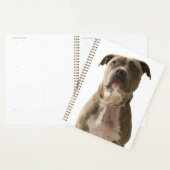 Pit Bull Dog Gift Bag Planner (Display)