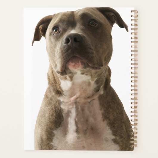 Pit Bull Dog Gift Bag Planner (Achterkant)