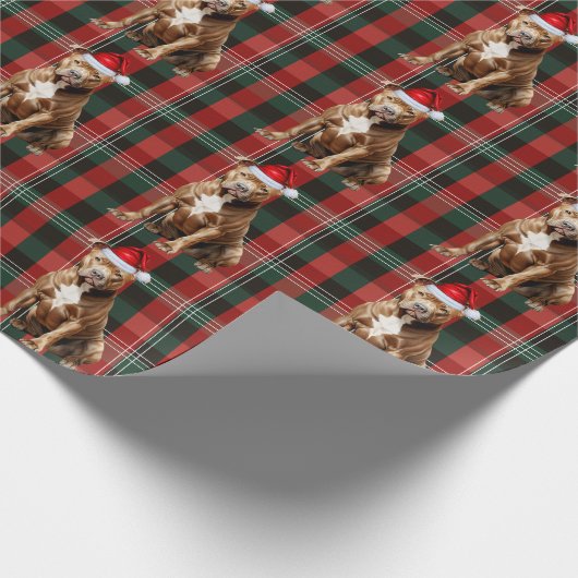 Pit Bull Dog Green en Red Holiday Plaid Kerstmis Cadeaupapier (Hoek)