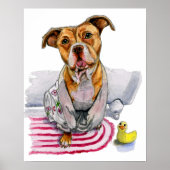 Pit Bull Dog in Bathrobe Waterverf Schilderen Poster (Voorkant)