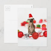 Pit Bull Dog met cadeaudoos en kerstversieringen Feestdagenkaart (Voorkant / Achterkant)