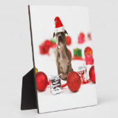 Pit Bull Dog met cadeaudoos en kerstversieringen Fotoplaat (Zijkant)