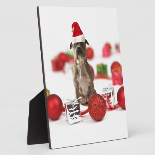 Pit Bull Dog met cadeaudoos en kerstversieringen Fotoplaat (Zijkant)