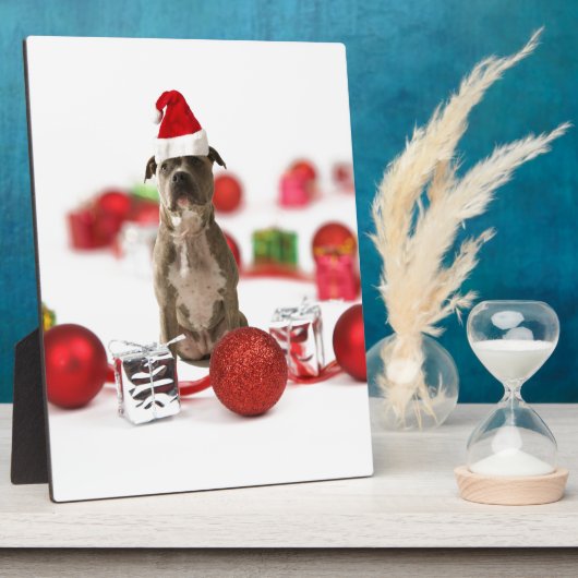 Pit Bull Dog met cadeaudoos en kerstversieringen Fotoplaat (Zijkant)