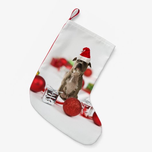 Pit Bull Dog met cadeaudoos en kerstversieringen Kleine Kerstsok (Voorkant (Hangend))