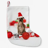 Pit Bull Dog met cadeaudoos en kerstversieringen Kleine Kerstsok (Voorkant)