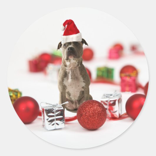 Pit Bull Dog met cadeaudoos en kerstversieringen Ronde Sticker (Voorkant)