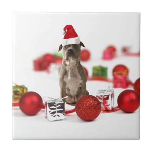 Pit Bull Dog met cadeaudoos en kerstversieringen Tegeltje (Voorkant)