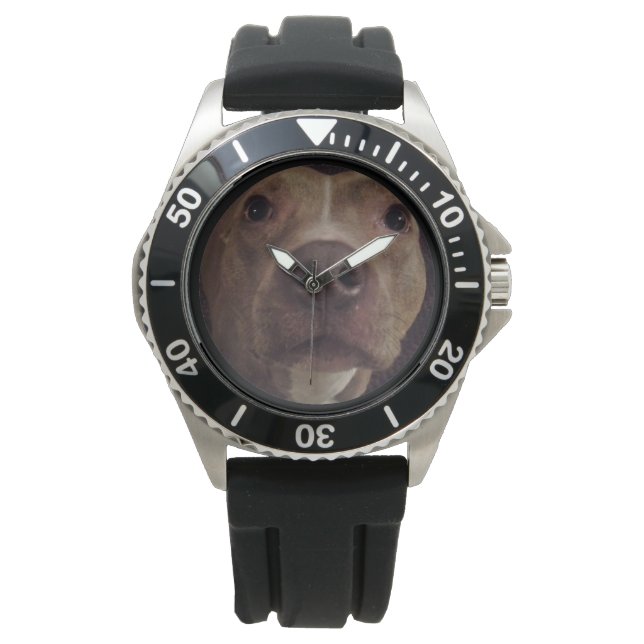 PIT BULL DOG watch Horloge (Voorkant)