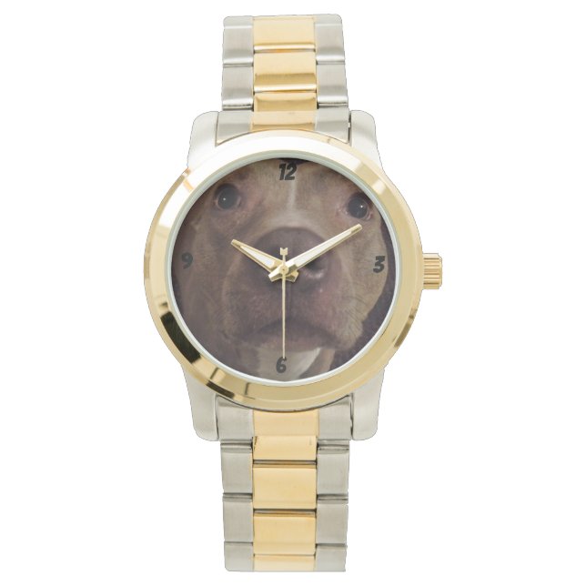 PIT BULL DOG watch Horloge (Voorkant)
