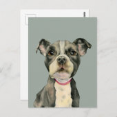 Pit Bull Dog Waterverf Painting Briefkaart (Voorkant / Achterkant)