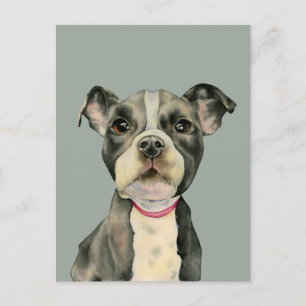 Pit Bull Dog Waterverf Painting Briefkaart