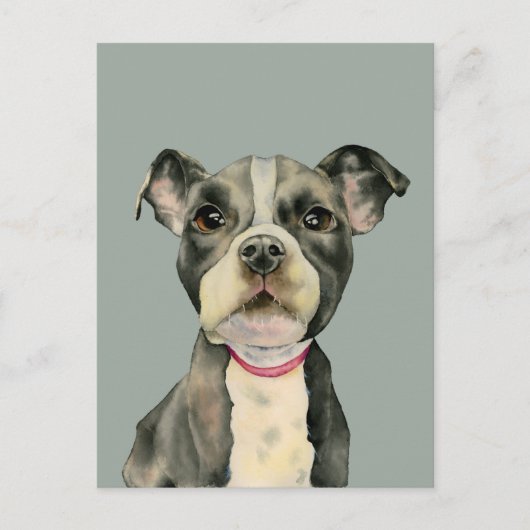 Pit Bull Dog Waterverf Painting Briefkaart (Voorkant)