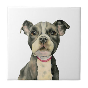 Pit Bull Dog Waterverf Painting Tegeltje