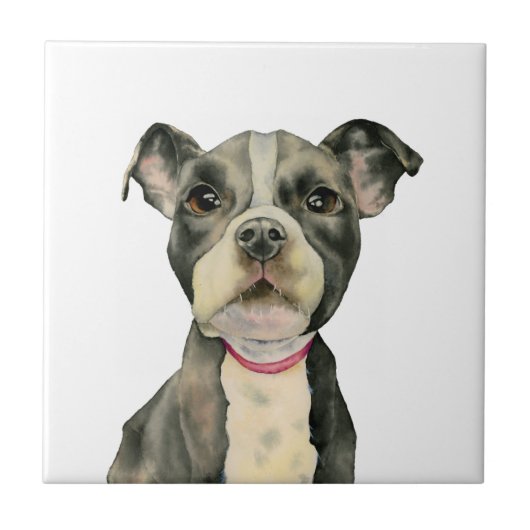 Pit Bull Dog Waterverf Painting Tegeltje (Voorkant)