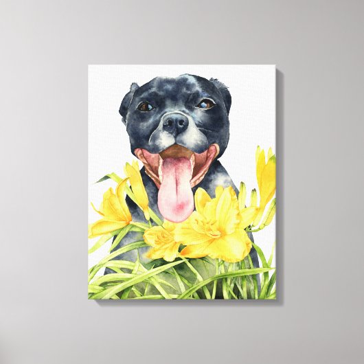Pit Bull Dog Waterverf Schilderen, Fine Art Canvas Afdruk (Voorkant)