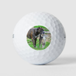 Pit Bull en Cat Golfballen