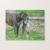 Pit Bull en Cat Legpuzzel (Horizontaal)